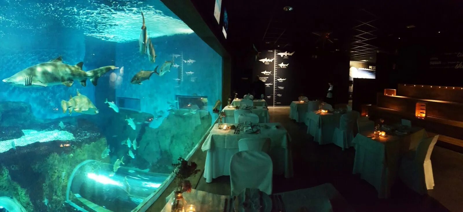 Acuario de Sevilla en Seville